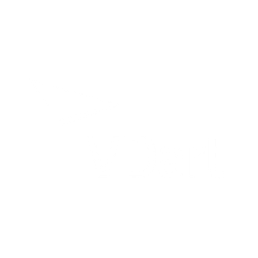 VDart